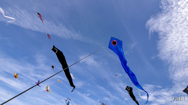25-Q7050010.jpg