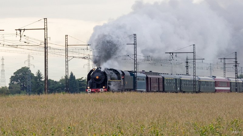 PB2N-17-P9160028.jpg - Loiret - 2017